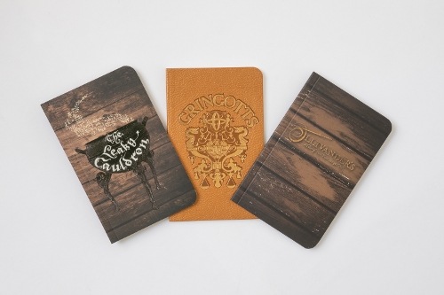 Harry Potter: Diagon Alley Pocket Journal Collection: Set of 3