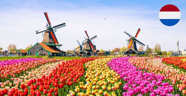 Dutch Level 1,2,3